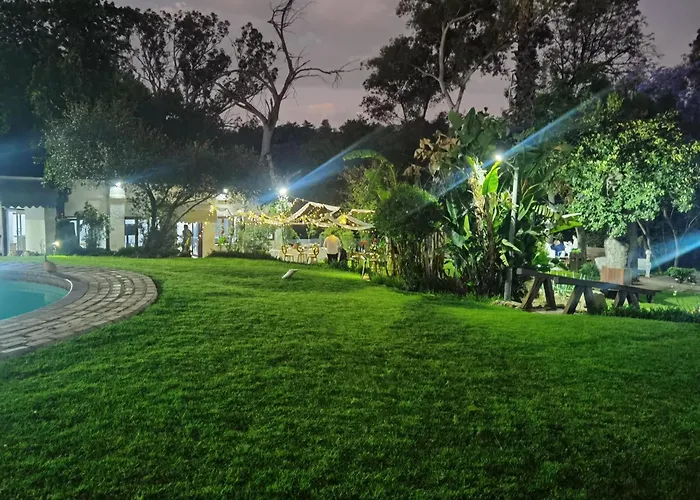 Lotus Guest House Johannesburg