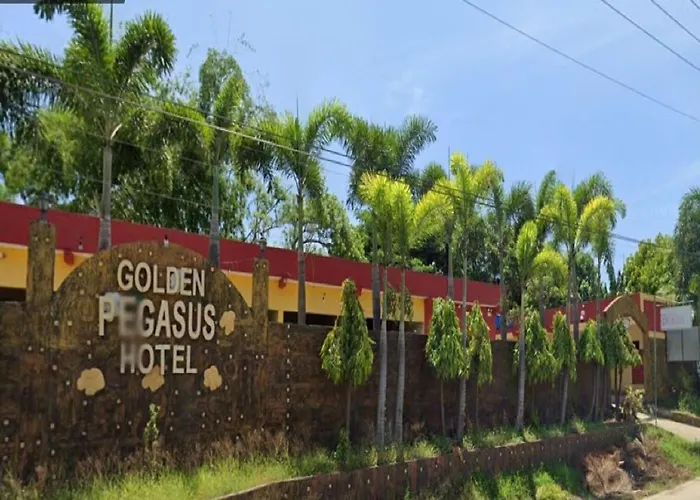 Golden Pegasus Hotel La Union By Reddoorz San Juan 