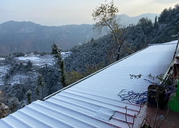 Forestview Food & Stay Dhanaulti