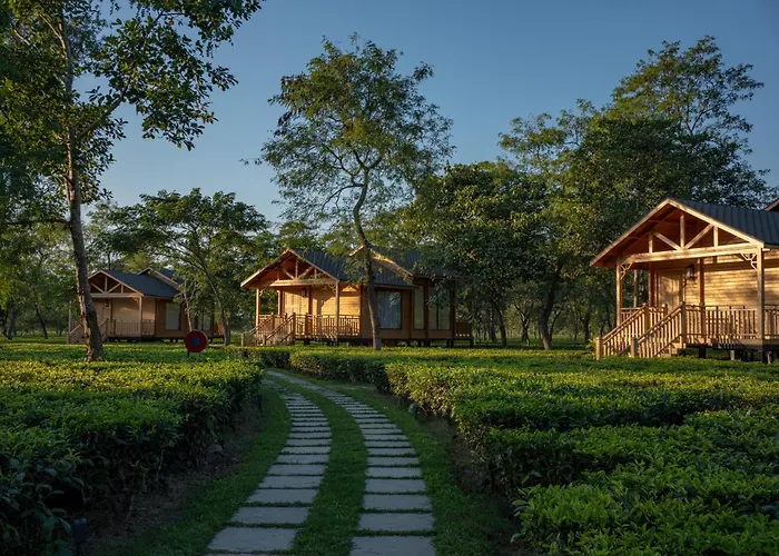 The Postcard In The Durrung Tea Estate, Assam Hotel Tezpur