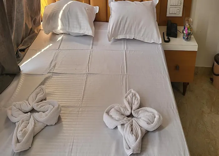 Hotel Ruchi Executive Satara