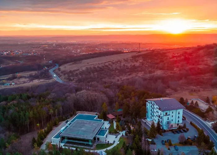 Hotel Helen Bacau
