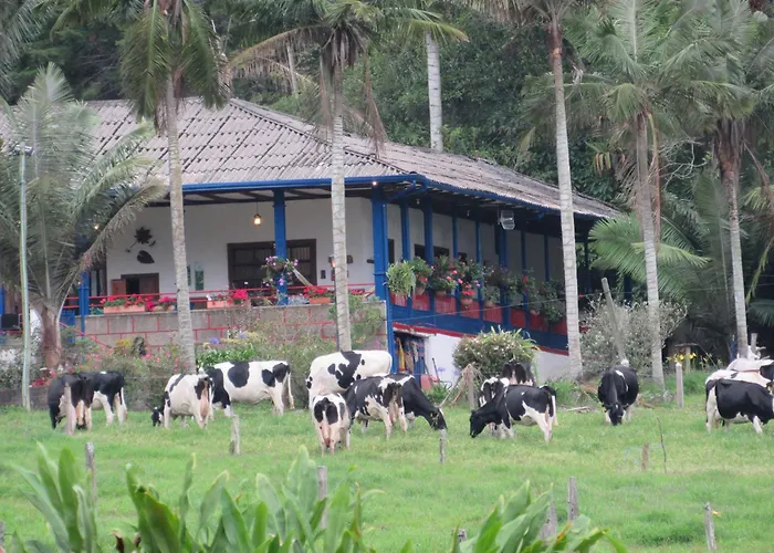 Reserva Guadalajara - Authentic Farm With Horses In Cocora Valley - Salento