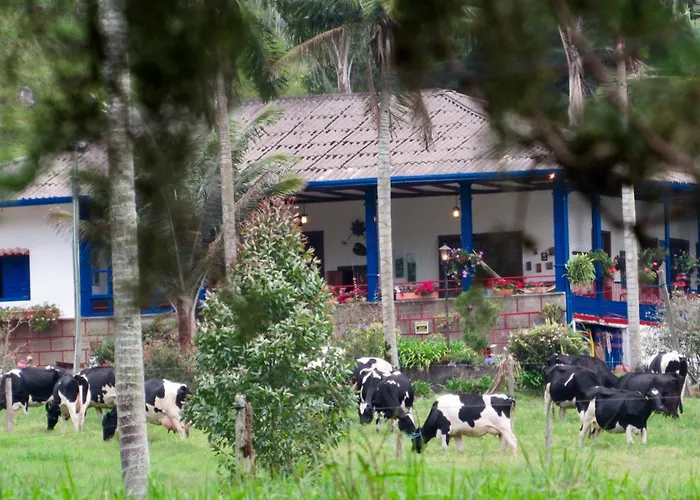Reserva Guadalajara - Authentic Farm With Horses In Cocora Valley - Salento