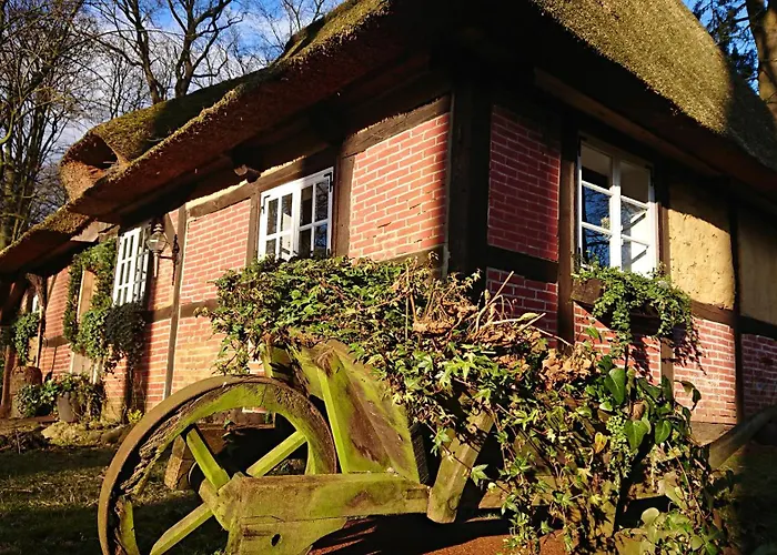 Hillmers Hoff Pensionrestaurant Undeloh