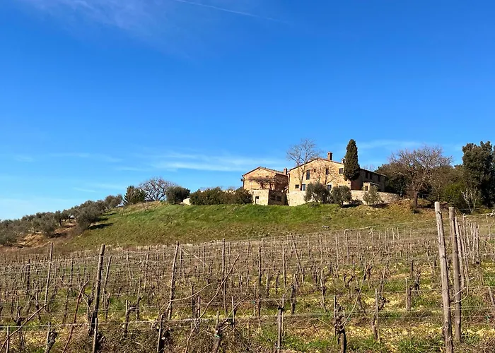 Podere Sole Trequanda
