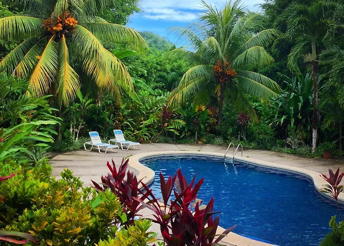 Star Mountain Jungle Lodge - Only 4X4 Vehicles, No Meals Malpais
