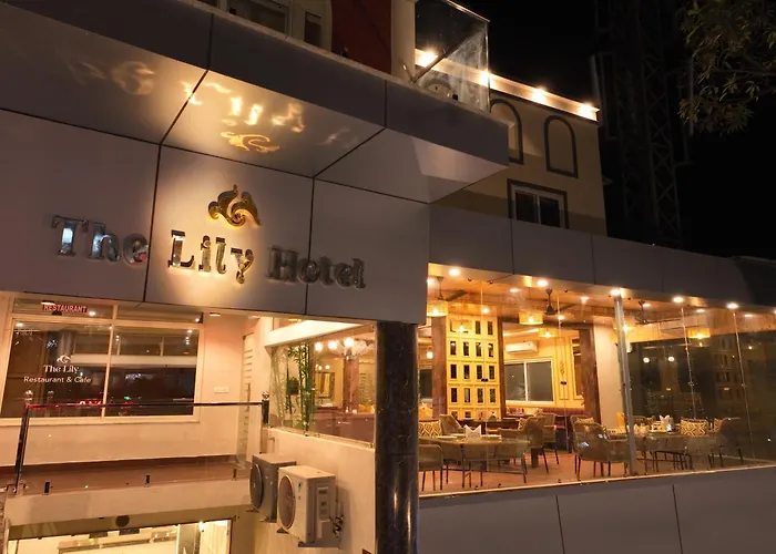 The Lily Hotel Rishikesh