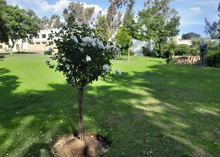 Ramkiki Country Restaurant And Conference Centre Hotel Roodepoort