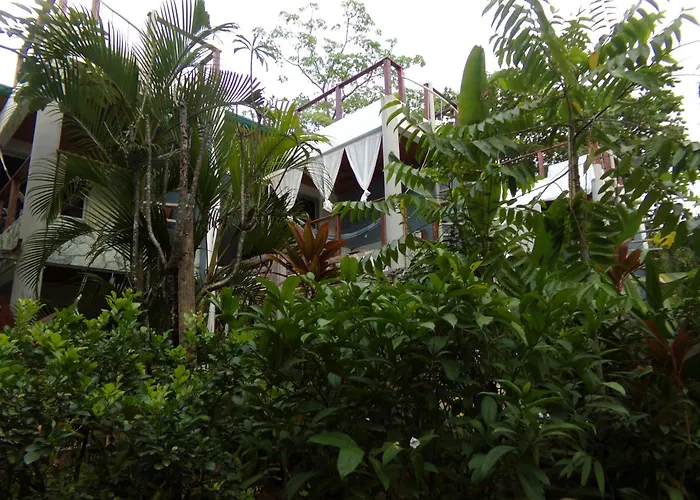 Iluminar Beachfront Suites Nosara