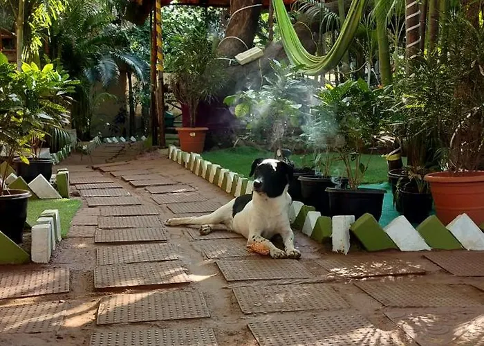 Nature Of Arambol