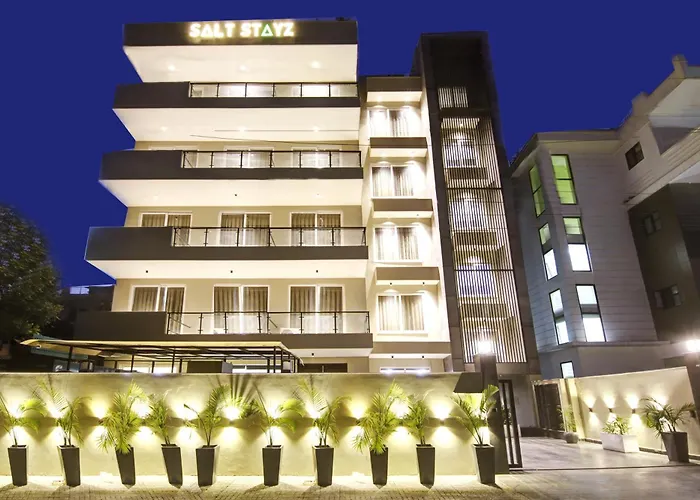 Saltstayz Sector 46 - Sohna Road And Near Paras Hospital Gurgaon