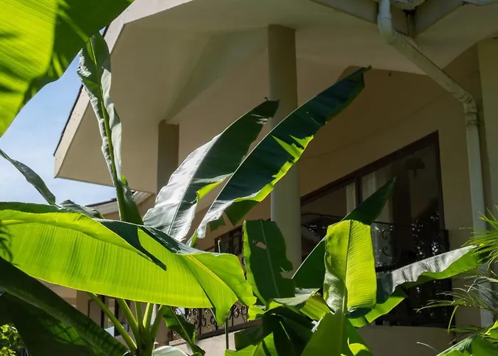 Sol Y Sombra Bed & Breakfast Bocas del Toro