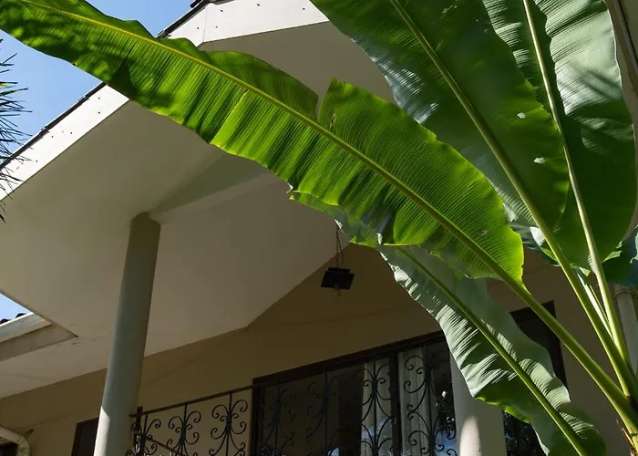 Sol Y Sombra Bed & Breakfast Bocas del Toro