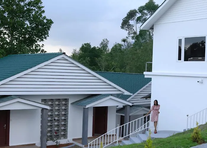 Rainwood Aurum Resort Munnar