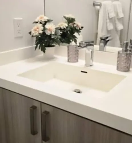 Nahani Way Properties Mississauga