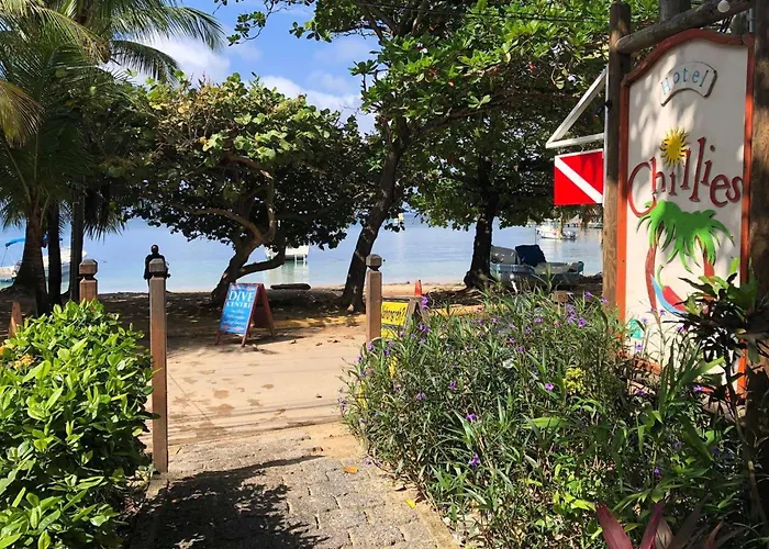Hotel Chillies And Native Sons Diving West End