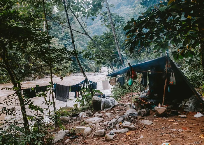 Fidodido Guesthouse Jungle Trekking Bukit Lawang