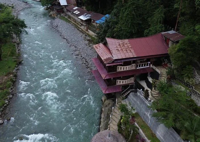 Fidodido Guesthouse Jungle Trekking Bukit Lawang
