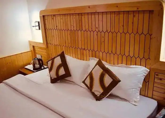 The Visor, Manali Hotel