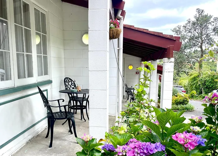 Browns Bay Olive Tree - Pet Friendly Family Apartment Auckland