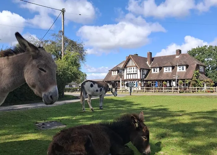The Fightingcocks Hotel Fordingbridge