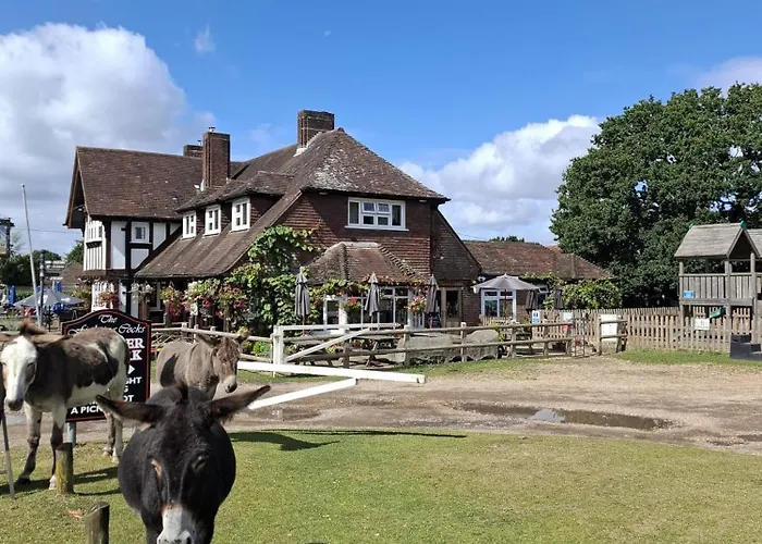 The Fightingcocks Hotel Fordingbridge
