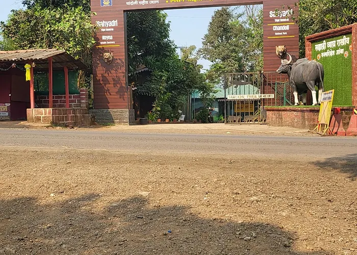 The Amba Resort Chandoli