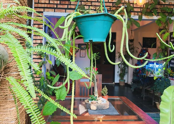 Aio Hotel Dambulla