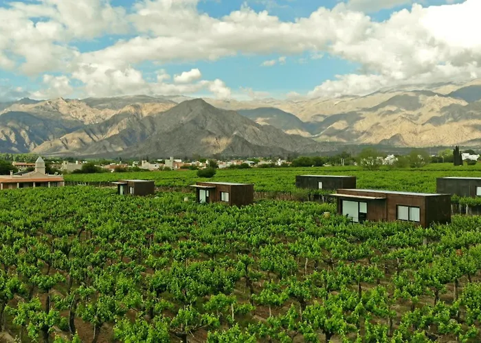El Porvenir Wine Lodge Cafayate
