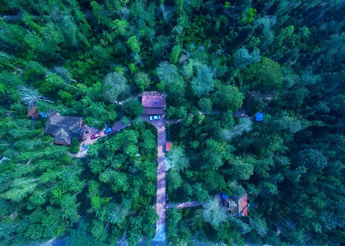 Humble Nest Coorg Hotel Suntikoppa