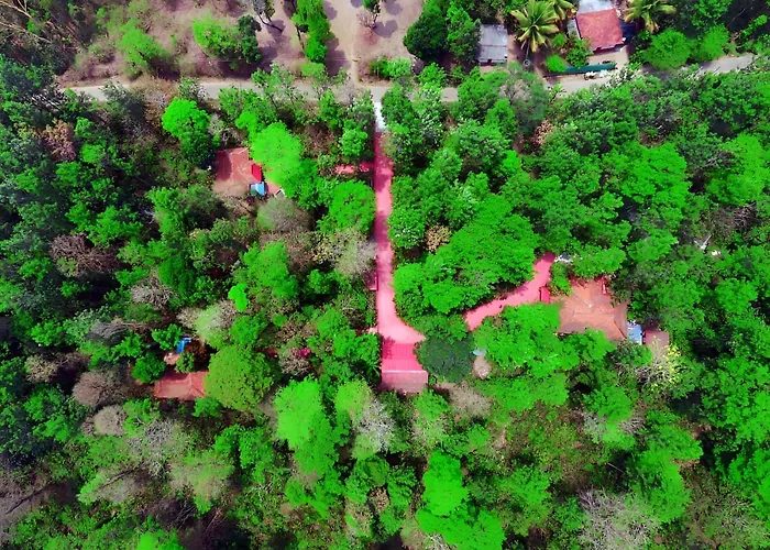 Humble Nest Coorg Hotel Suntikoppa