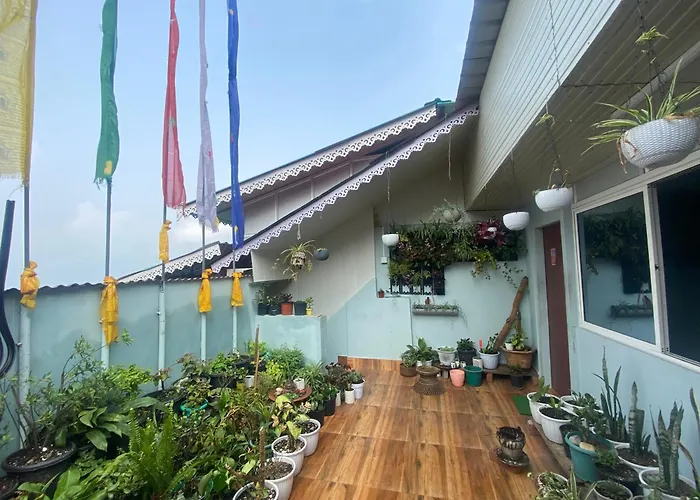 Lama Hotel Gangtok