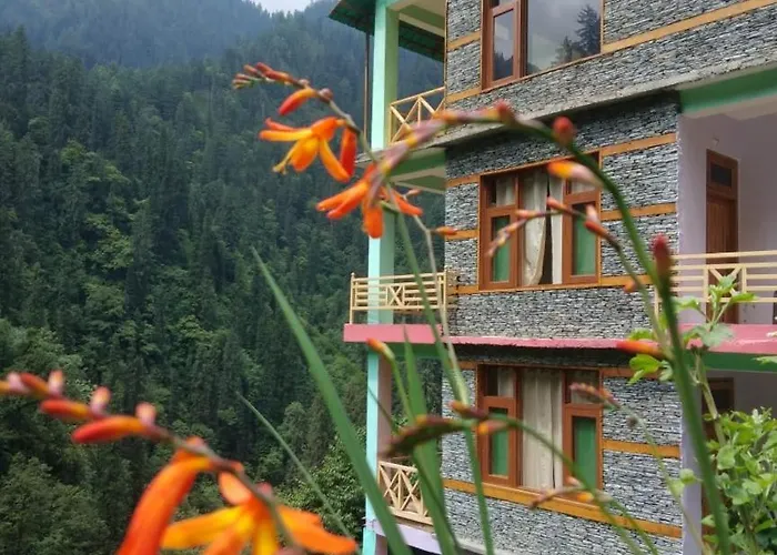 The Forest Pinnacle And Cafe, Jibhi