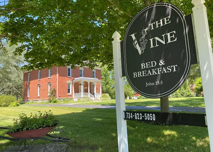 The Vine Bed & Breakfast, Llc Dundee