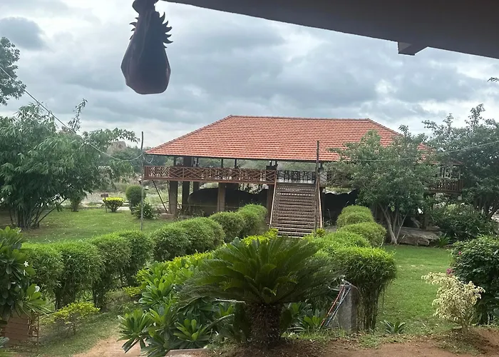Leo Wooden Resorts Hampi