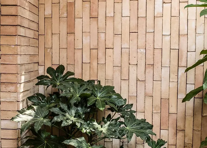 Hotel Casa Cuenca Mexico City