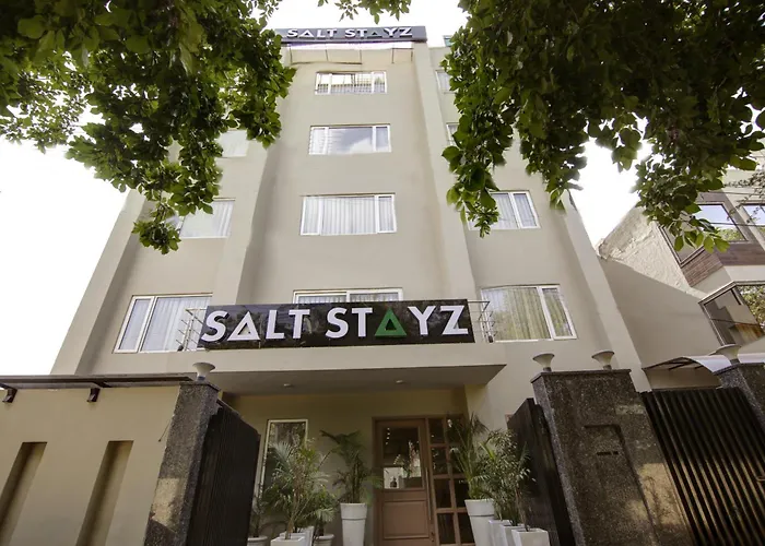 Saltstayz Select - Golf Course Road & Sector 27 Gurgaon