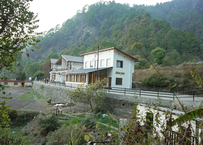 Silver Fern By The Hillside Nainital