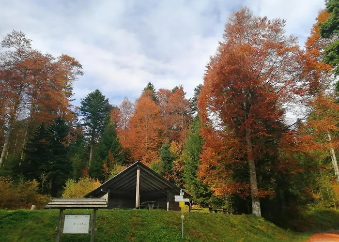 Hotel am Kurpark Todtmoos