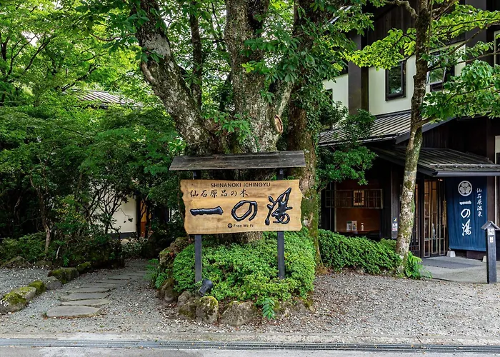 Hotel Sengokuhara Shinanoki Ichinoyu à Hakone
