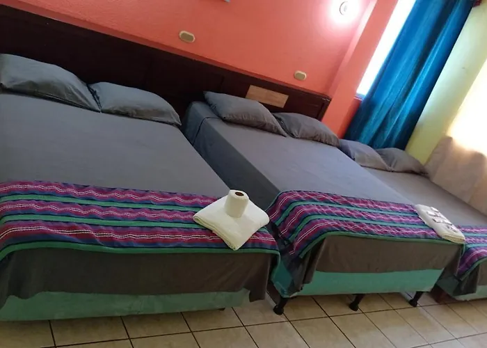 Hotel Green Monkey Flores