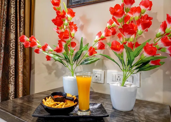 Hotel Tej Inn Plaza Near Igi Airport Delhi New Delhi