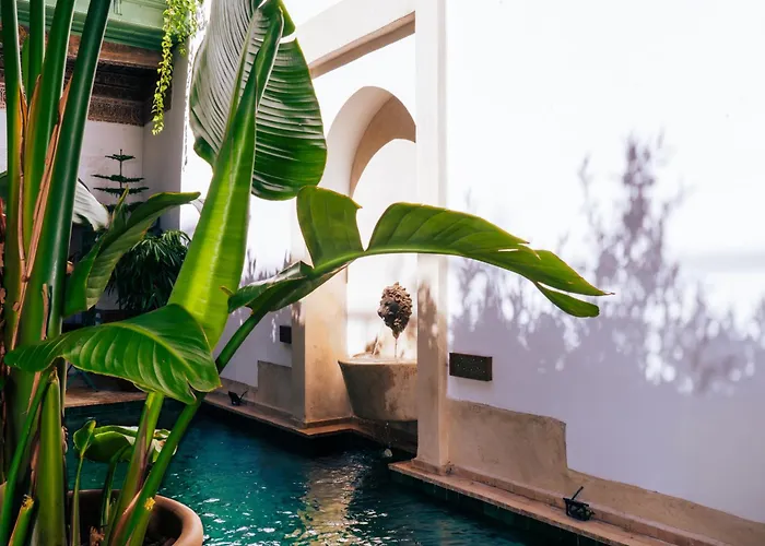 Riad Dar Dounia Marrakesh
