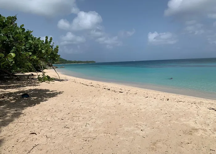 Coté plage Le Balaou Saint Francois