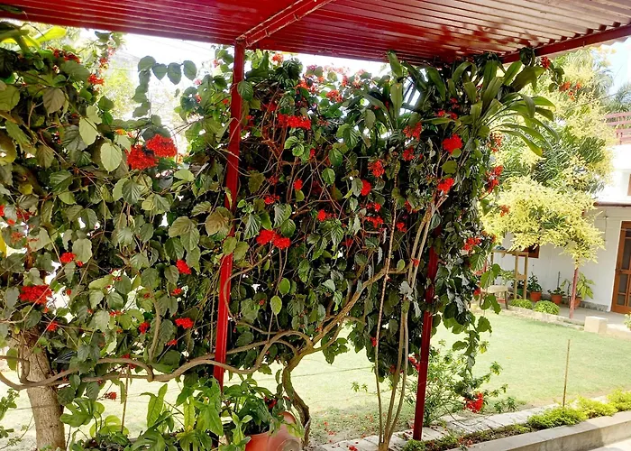 Garden View Residency Bed & Breakfast Lucknow
