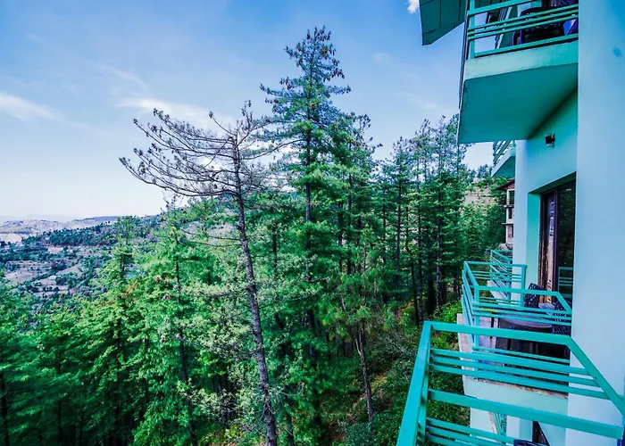 Nature Valley View Resort Mashobra !! Luxury Choice !! Gaming Zone !! Open Terrace !! Big Parking Shimla