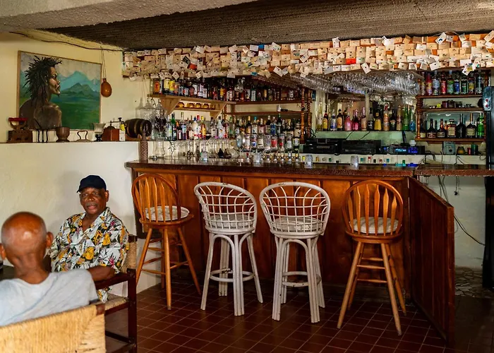 Roxy'S Mountain Lodge Roseau