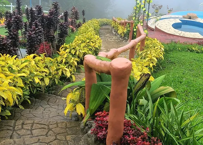 Serene Mountain Escape Digos