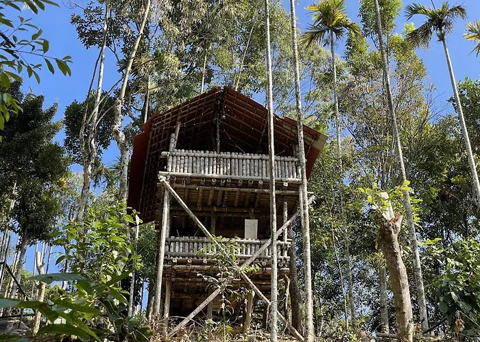 Wetlands Wayanad Pool Resort With Natural Waterfalls Padinjarathara
